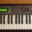 Korg X5D Music Synthesizer
