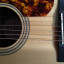 Vendo-Cambio Fender Paramount series Límited PM-1 RWD Adirondack