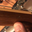 RESERVADA - Gibson Les Paul Traditional 2013 Honey Burst