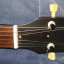 Cambio Gibson SG faded 2016 Worn Brown por bajo