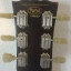 RESERVADO - Guitarra vintage V100MRPGM modelo Les Paul