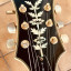 Epiphone Howard Roberts