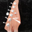 Cambio Tom Anderson Raven Superbird por Fender Stratocaster Custom Shop (Reservada)