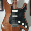 Stratocaster partcaster