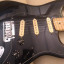 Fender American Stratocaster Standard 2008. Con DiMarzios y case original