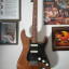 Stratocaster partcaster