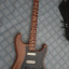 Stratocaster partcaster