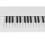 Mellotron 4000D amini