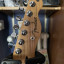 Fender Telecaster Player