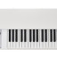 Mellotron 4000D amini