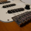 SX Stratocaster SST ALDER Series (American Alder)