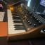 Moog Subsequent 37 en perfecto estado