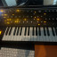 Moog Subsequent 37 en perfecto estado