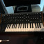 Moog Subsequent 37 en perfecto estado