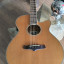 Electroacustica TANGLEWOOD TRU 4 CE BW