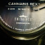 Fender Blues Jr. III Eminence Cannabis Rex