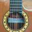 Guitarra "semiacústica Crossover" CS-3 CW S E2 ALHAMBRA