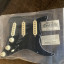 Pickguard Stratocaster Rio Grande Muy Grande
