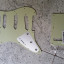 Golpeador y tapa para Fender Stratocaster