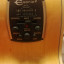 Guitarra Acústica Epiphone Jumbo EJ200 SCE