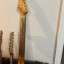 Mastil Stratocaster Musikraft