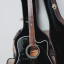 Takamine EF341SC