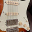 Fender Stratocaster Player Plus HSS