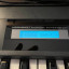 Roland ALPHA JUNO 1con controlador DTRONICS DT300