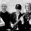 Black Back Band (Tributo AC/DC) busca Angus Young