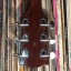 Guitarra acústica Ibanez Concord años 74-75