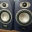 Monitores Tannoy Rev5A (reservado)