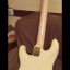 69 Stratocaster (Partcaster)