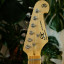 Guitarra eléctrica SX tipo Stratocaster Swamp Ash