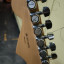 Fender Stratocaster American Proffesional