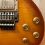 Epiphone Les Paul Alex Lifeson Axcess Standard, Viceroy Brown*