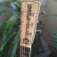 Guitarra resonadora Gretsch Alligator Biscuit 9240