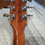 Gibson LP Signature T GT por Gibson LP Classic HB