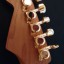 Beautiful Warmoth Jazzcaster Strato Stratocaster