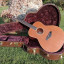 TAYLOR GS5e Acústica Alta Gama RESERVADA