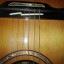 Cambio Acustica Alhambra A-Luthier