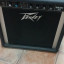 Peavey basic 50