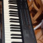 Roland A33 (76 teclas)