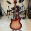 Rickenbacker 360/12 Fireglo 2002 venta/cambio