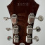 JOYA: Epiphone USA Collection John Lennon Limited Edition 1965 Casino Sunburst