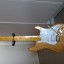 Stratocaster custom (No Fender)