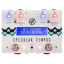 GFI TEMPUS delay y reverb