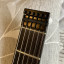 Steinberger Spirit