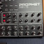 Sequential Prophet Rev2 Desktop 16-Voice Polyphonic Synthesize