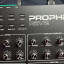 Sequential Prophet Rev2 Desktop 16-Voice Polyphonic Synthesize