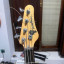 CAMBIO bajo Washburn Lyon Series